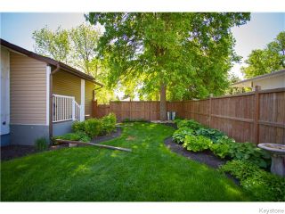 Photo 18: 275 Wavell Avenue in Winnipeg: Fort Rouge / Crescentwood / Riverview House for sale (South Winnipeg)  : MLS®# 1614329