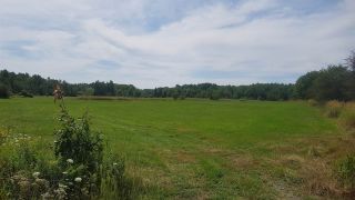 Photo 3: Lot Brooklyn Road in Middleton: 400-Annapolis County Vacant Land for sale (Annapolis Valley)  : MLS®# 201920314