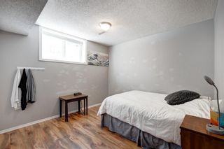 Photo 24: 531 Cedarille Crescent SW in Calgary: Cedarbrae Detached for sale : MLS®# A1243360
