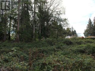 Photo 3: 6900 KLAHANIE DRIVE in Powell River: Vacant Land for sale : MLS®# 17234