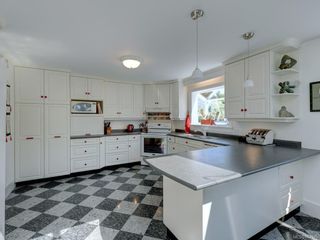Photo 9: 380 Stannard Ave in Victoria: Vi Fairfield East House for sale : MLS®# 844075