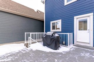 Photo 38: 262 Masters Row SE in Calgary: Mahogany Detached for sale : MLS®# A2016342