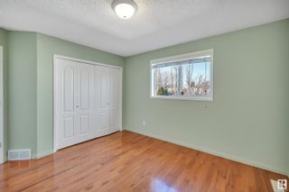 Photo 19: 377 JILLINGS Crescent in Edmonton: Zone 29 House for sale : MLS®# E4365739