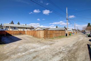 Photo 47: 11 Maryvale Place NE in Calgary: Marlborough Detached for sale : MLS®# A1207159