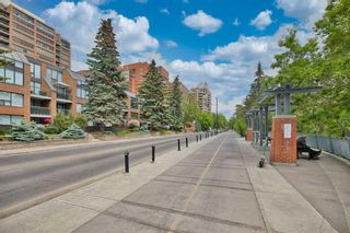 Photo 28: 5 314 25 Avenue SW in Calgary: Mission Apartment for sale : MLS®# A2049608