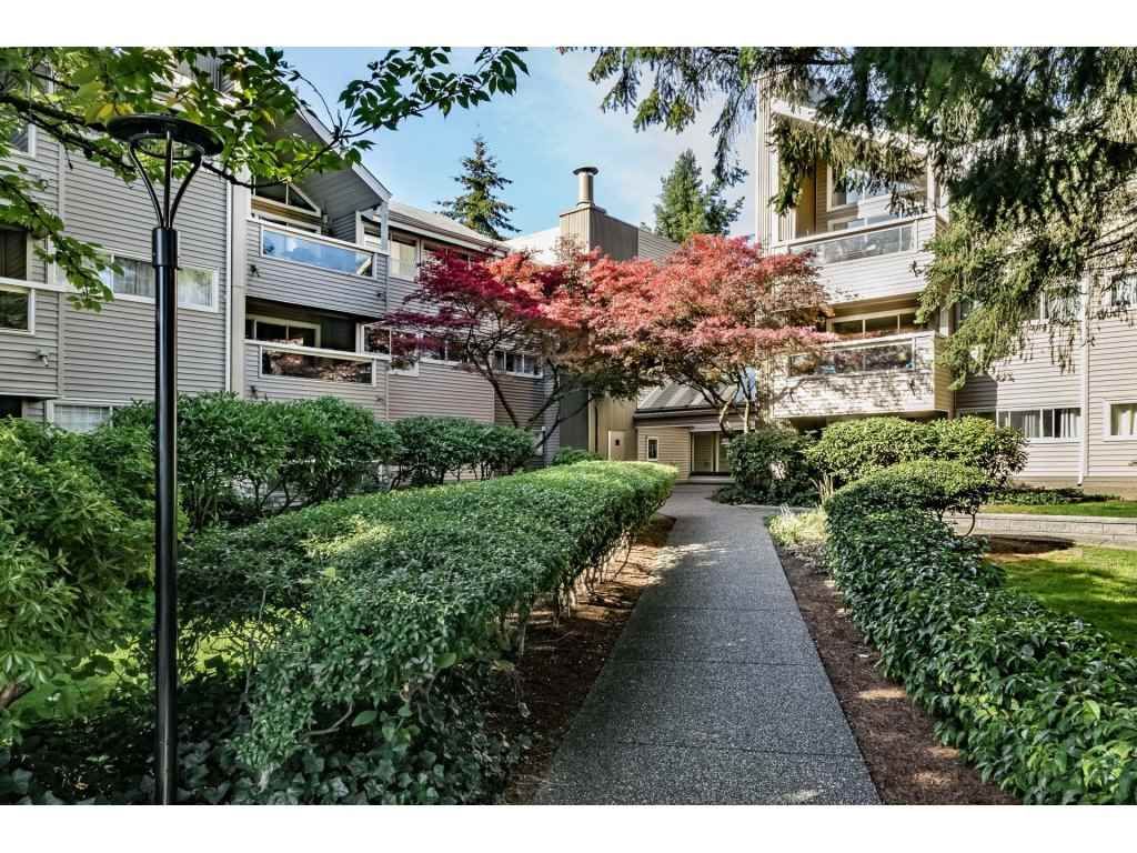 Main Photo: 109 932 ROBINSON STREET in Coquitlam: Coquitlam West Condo for sale : MLS®# R2313900