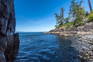 Photo 46: 2470 Lighthouse Point Rd in Sooke: Sk French Beach House for sale : MLS®# 867503