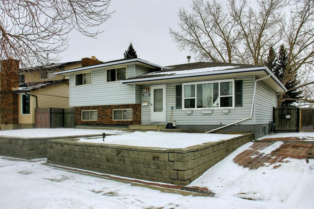 Main Photo: 6303 Rundlehorn Drive NE in Calgary: Pineridge Detached for sale : MLS®# A1181029