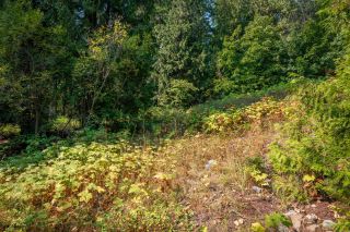 Photo 21: 2009 HAPPY VALLEY ROAD in Rossland: Vacant Land for sale : MLS®# 2472960