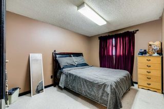 Photo 20: 221 Theodore Place NW in Calgary: Thorncliffe Semi Detached (Half Duplex) for sale : MLS®# A2104167