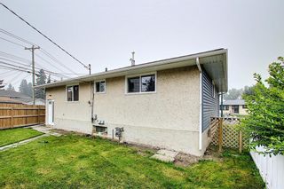 Photo 44: 1936 Matheson Drive NE in Calgary: Mayland Heights Detached for sale : MLS®# A1130969