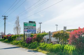 Photo 23: 5047 184 St in Cloverdale: Serpentine Business with Property for sale