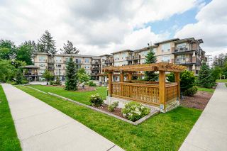 Photo 1: 218 2565 CAMPBELL Avenue in Abbotsford: Central Abbotsford Condo for sale in "Abacus" : MLS®# R2456561