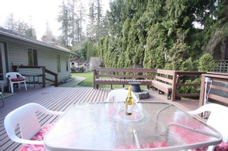 Photo 34: 32555 MURRAY Avenue in Abbotsford: Abbotsford West House for sale : MLS®# R2766401