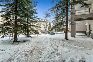Photo 28: 103 4000 Sommervale Court SW in Calgary: Somerset Apartment for sale : MLS®# A2034041