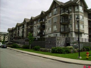 Photo 1: 400 9000 BIRCH Street in Chilliwack: Chilliwack W Young-Well Condo for sale : MLS®# H1002037