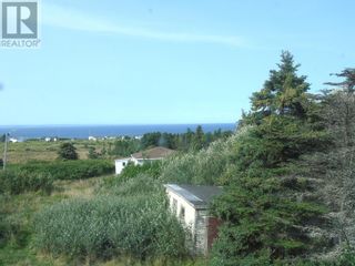Photo 40: 186 Quigleys Line in Bell Island: House for sale : MLS®# 1263001
