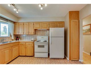 Photo 11: 129 FAIRVIEW Crescent SE in Calgary: Fairview House for sale : MLS®# C4062150