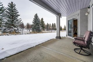 Photo 28: 49 HAMPSTEAD GR NW in Calgary: Hamptons House for sale : MLS®# C4145042