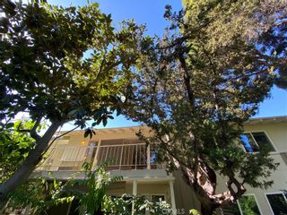 Photo 19: 84 Calle Aragon Unit Q in Laguna Woods: Residential for sale (LW - Laguna Woods)  : MLS®# OC19271781