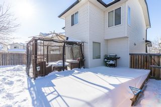 Photo 43: 85 Evansmeade Circle NW in Calgary: Evanston Detached for sale : MLS®# A1067552