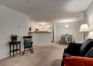 Photo 25: 4219 10 PRESTWICK Bay SE in Calgary: McKenzie Towne Apartment for sale : MLS®# A1219741