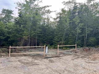 Photo 29: 12 Misty Bay Lane in Morris Island: County Hwy 3 Commercial  (Yarmouth)  : MLS®# 202317893