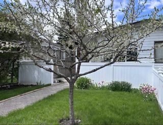 Photo 36: 3405A 2 Street NW in Calgary: Highland Park Semi Detached (Half Duplex) for sale : MLS®# A2120172