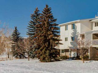 Main Photo: 10 3015 51 Street SW in CALGARY: Glenbrook Townhouse for sale (Calgary)  : MLS®# C3600694