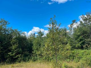 Photo 7: Lot 2 MacLean Road in Hunters Mountain: 209-Victoria County / Baddeck Vacant Land for sale (Cape Breton)  : MLS®# 202317840