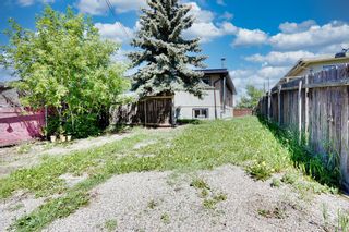 Photo 42: 6111 Penbrooke Drive SE in Calgary: Penbrooke Meadows Semi Detached (Half Duplex) for sale : MLS®# A1234370