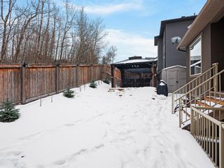 Photo 42: 52 Rockyvale Green NW in Calgary: Rocky Ridge Detached for sale : MLS®# A2016499