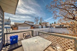 Photo 25: 111 Pinemill Mews NE in Calgary: Pineridge Detached for sale : MLS®# A2115447