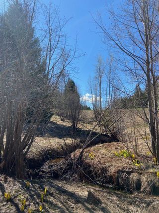 Photo 13: 201 JOLIFFE WAY in Rossland: Vacant Land for sale : MLS®# 2475917