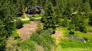 Photo 42: 3209 White Lake Road, in Tappen, BC: House for sale : MLS®# 10268943