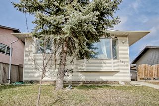 Photo 4: 1112 Falconridge Drive NE in Calgary: Falconridge Detached for sale : MLS®# A2040735