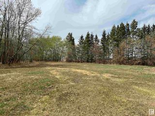 Photo 33: 26124 TWP RD 571: Rural Sturgeon County House for sale : MLS®# E4338931