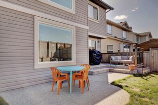 Photo 33: 205 CHAPALINA Mews SE in Calgary: Chaparral Detached for sale : MLS®# C4241591