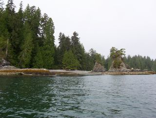 Photo 4: Lot 15 Helby Island: Bamfield Land for sale (Vancouver Island)  : MLS®# 862123