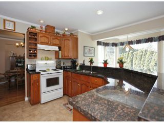 Photo 15: 1615 143B ST in Surrey: Sunnyside Park Surrey House for sale (South Surrey White Rock)  : MLS®# F1406922