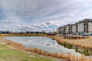 Photo 34: 8429 304 Mackenzie Way SW: Airdrie Apartment for sale : MLS®# A2125432