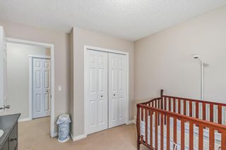 Photo 33: 50 Panamount Plaza NW in Calgary: Panorama Hills Detached for sale : MLS®# A2036118