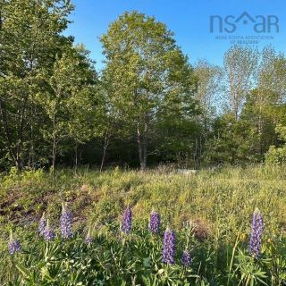 Photo 7: 15 Conquerall Road in Hebbs Cross: 405-Lunenburg County Vacant Land for sale (South Shore)  : MLS®# 202325145