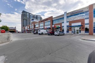Photo 33: 1308 8880 Horton Road SW in Calgary: Haysboro Apartment for sale : MLS®# A1252590