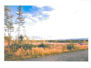 Photo 5: LOT 4 BELL Place in Mackenzie: Mackenzie -Town Land for sale in "BELL PLACE" : MLS®# N227296