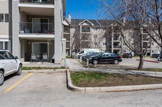 Photo 35: 4214 4975 130 Avenue SE in Calgary: McKenzie Towne Apartment for sale : MLS®# A2125583