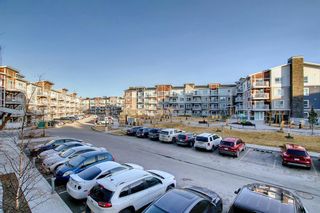 Photo 21: 1205 302 Skyview Ranch Drive NE in Calgary: Skyview Ranch Apartment for sale : MLS®# A2007686