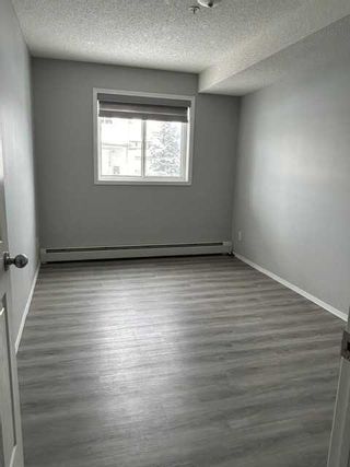 Photo 9: 118 92 Saddletree Court NE in Calgary: Saddle Ridge Apartment for sale : MLS®# A2121337