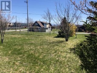 Photo 2: 65 Ohio Drive in Stephenville: Vacant Land for sale : MLS®# 1234009
