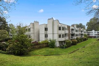 Photo 1: 213 9620 MANCHESTER Drive in Burnaby: Cariboo Condo for sale in "Brookside Park" (Burnaby North)  : MLS®# R2893740